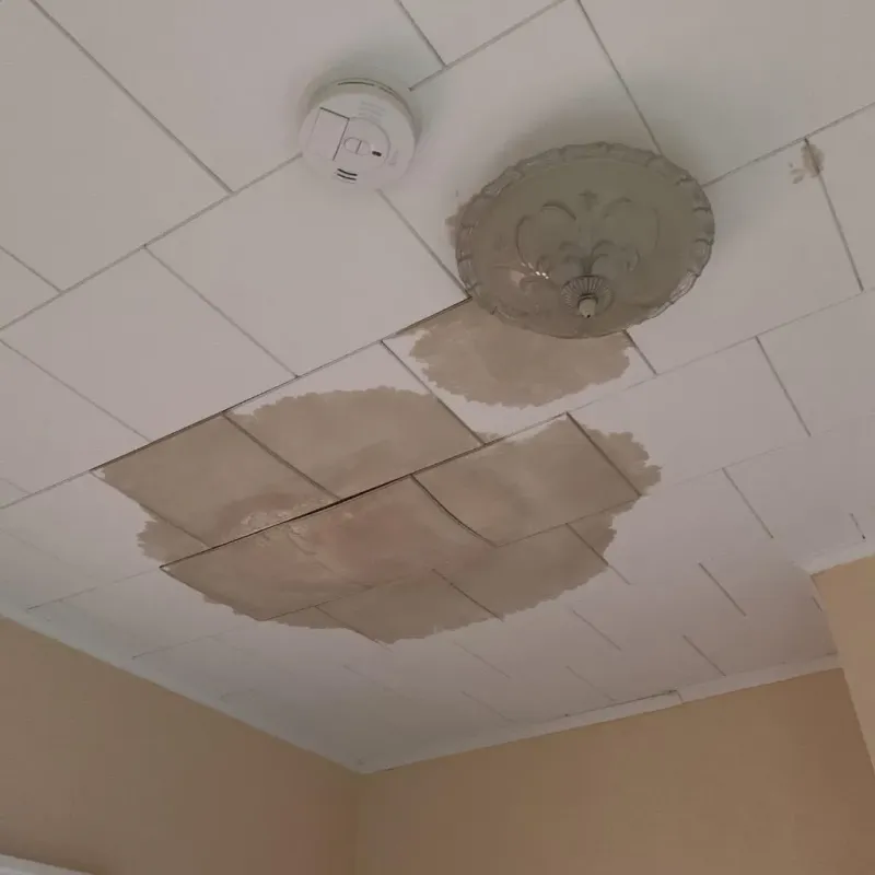Ceiling Water Damage Repair in Brookville, OH