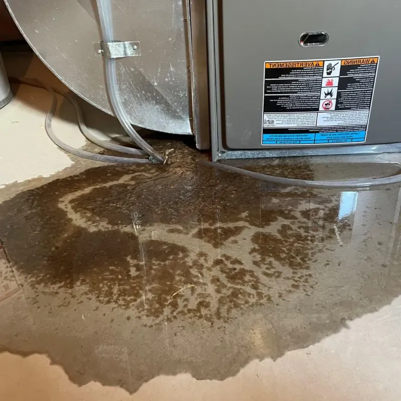 Pipe Burst and Leak Restoration in Brookville, OH