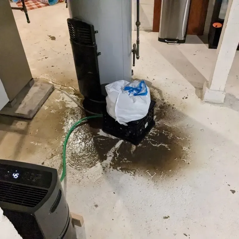 Sewage Backup Cleanup Service in Brookville, OH
